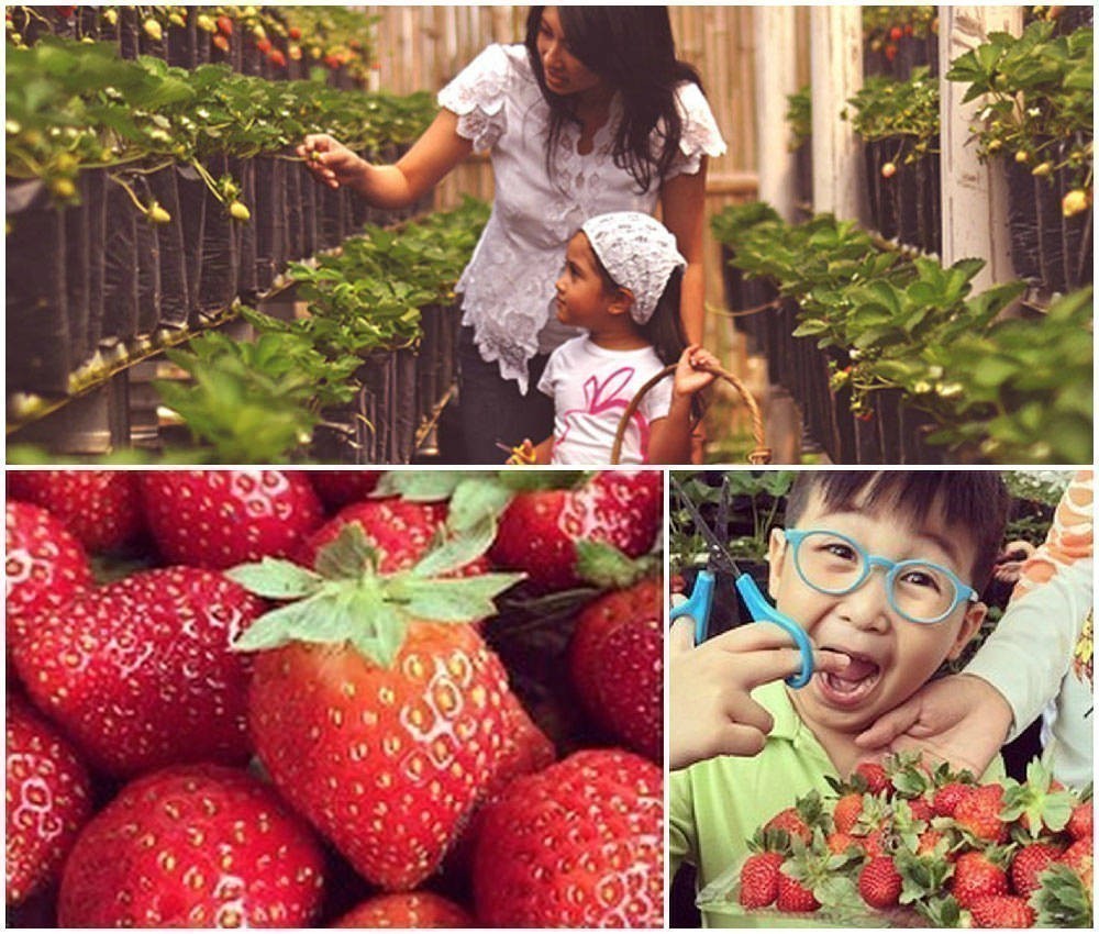 7 Restoran di Bandung buat Ajak si Anak Main